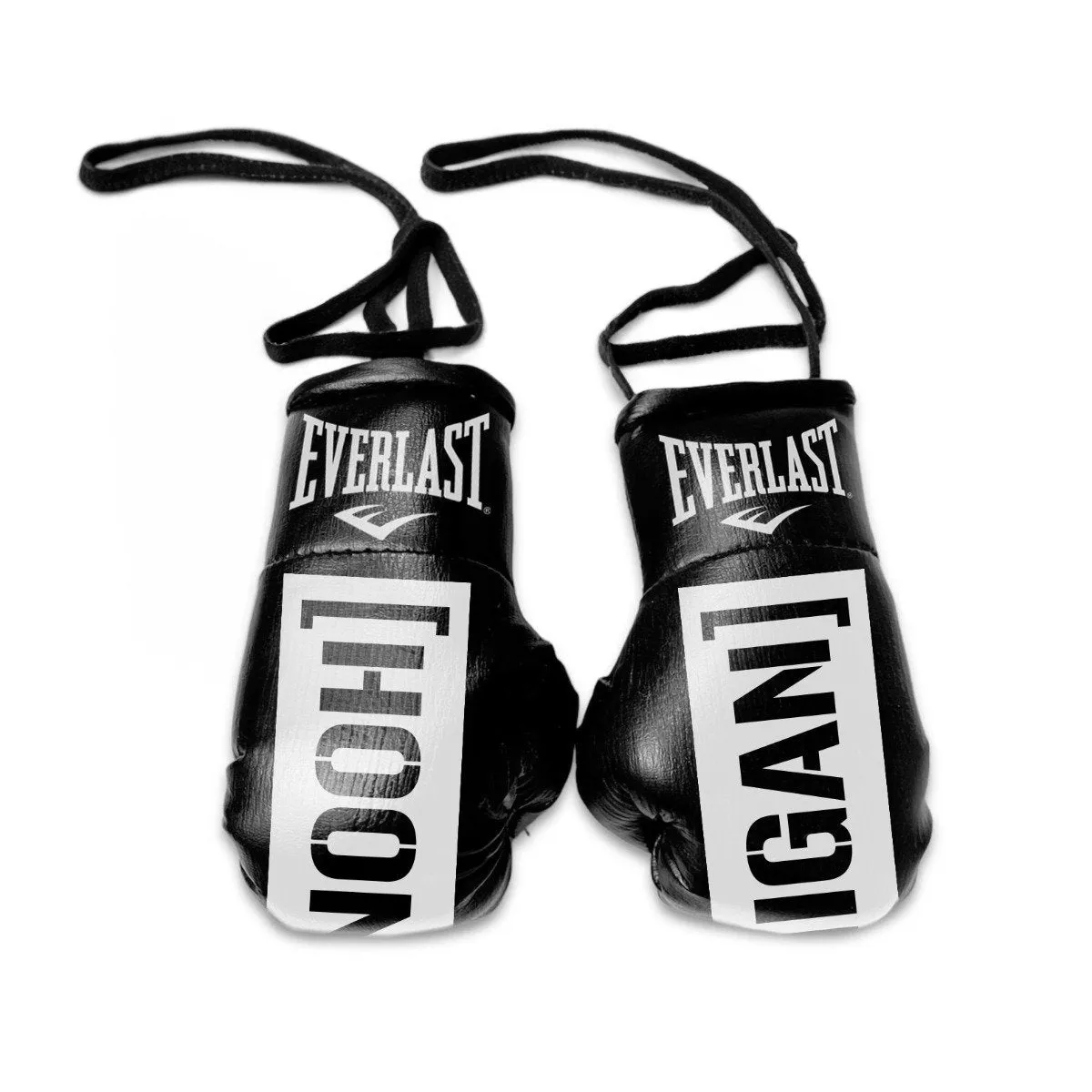 Everlast X Hoonigan Rear View Mirror Gloves